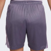 Nike Фіолетові жіночі шорти  W NK DF ISOFLY SHORT DH7363-509 - зображення 2