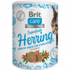 Brit Care Superfruits Snack Herring 100 г (100653) - зображення 1