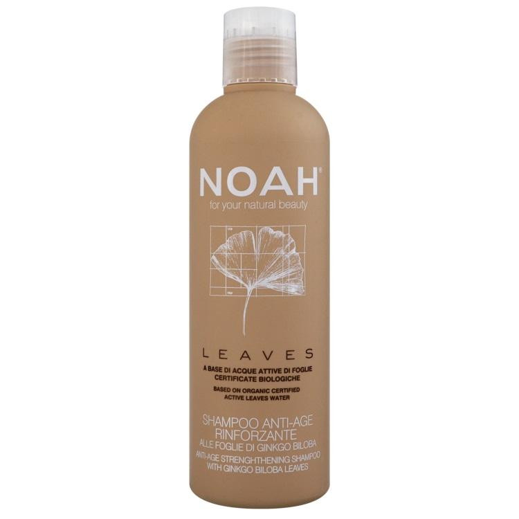 Noah Зміцнюючий шампунь для волосся  Leaves з листям гінкго 250 мл (8034063521822) - зображення 1