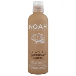 Noah Зміцнюючий шампунь для волосся  Leaves з листям гінкго 250 мл (8034063521822)