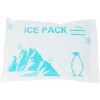 Кемпинг Ice Pack 250 мл (0101-250_gift) - зображення 2