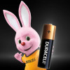Duracell AA bat Alkaline 10шт (5002508) - зображення 3