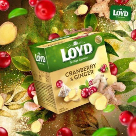 Loyd Чай фруктовий  Oyd Cranberry&Ginger, журавлина імбир, в пірамідках, 40 г, 3103566 (5900396023056)