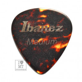 Ibanez ACE161 SHELL MEDIUM