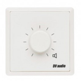 DV audio Регулятор громкости P-100