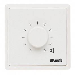 DV audio Регулятор громкости P-60