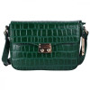 Ashwood Жіноча сумка  C50 Зелений (C50 GREEN) - зображення 1