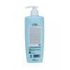 Esthetic House Зволожувальний шампунь для волосся   Aquaxyl Complex Intense Moisture Shampoo, 500 мл - зображення 2