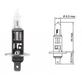   Tesla H1 +100% More Light 12V 55W B40101