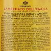 Sizarini Вино игристое Lambrusco розовое полусладкое 0.75 л 8% (8004810693485) - зображення 2
