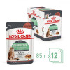 Royal Canin Digest Sensitive Sauce 85 г (4076001) - зображення 2