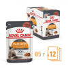 Royal Canin Hair&Skin Care in Gravy 85 г (4071001) - зображення 8