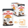 Royal Canin Hair&Skin Care in Gravy 85 г (4071001) - зображення 9