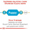 Royal Canin German Shepherd Puppy 3 кг (25190301) - зображення 3