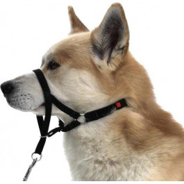 Trixie Намордник Top Trainer для собак нейлоновый, L (13004)