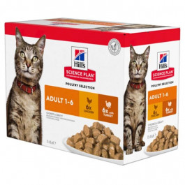 Hill's Science Plan Adult Wet Cat Food Multipack Chicken & Turkey 85 г 12 шт (604009)