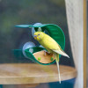 Hape Годівниця для птахів на вікно  E5585 - зображення 2