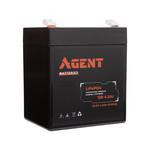   Agent LiFePO4 12V 4.5Ah (IFM12-45E2)