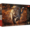 Trefl Premium Plus Дикий леопард 1000 елементів (10818) - зображення 1