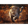 Trefl Premium Plus Дикий леопард 1000 елементів (10818) - зображення 2