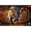 Trefl Premium Plus Дикий леопард 1000 елементів (10818) - зображення 3