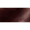 L'Oreal Paris Стійка крем-фарба для волосся  Excellence Creme 4.15 - Морозний шоколад (3600524093990) - зображення 3
