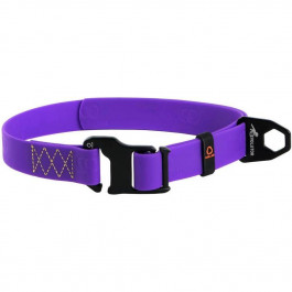 Collar Ошейник для собак Evolutor, фиолетовый (25-77 см) (42439)