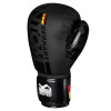 Phantom Athletics Боксерські рукавички Germany 10oz Black (PHBG2189-10) - зображення 2