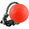 Jolly Pets Игрушки для собак мяч с канатом Ромпей-н-Ролл 16х40х16 см Оранжевая (606OR) - зображення 1