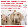 Royal Canin Urinary S/O 0,41 кг (4021004) - зображення 3