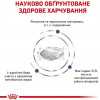 Royal Canin Neutered Satiety Balance 3,5 кг (2721035) - зображення 3