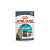 Royal Canin Urinary Care Gravy 85 г (41570019) - зображення 2