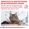 Royal Canin Urinary S/O Moderate Calorie in gravy 85 г (4080001) - зображення 8