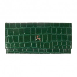 Ashwood Зелений жіночий гаманець  C05 GREEN