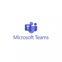 Microsoft Teams Essentials (AAD Identity) P1Y Annual License (CFQ7TTC0JN4R_0002_P1Y_A)