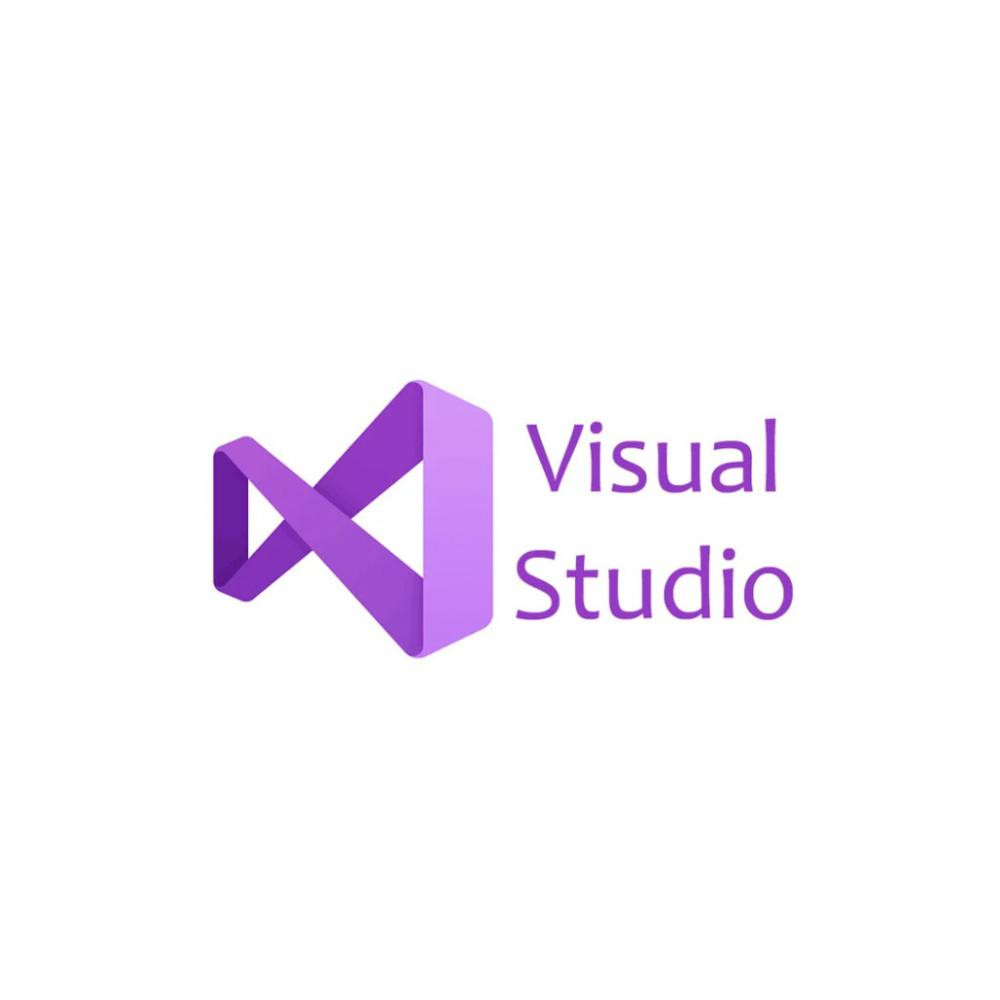 Microsoft Visual Studio Professional 2022 Charity Perpetual (DG7GMGF0D3SJ_0003CHR) - зображення 1
