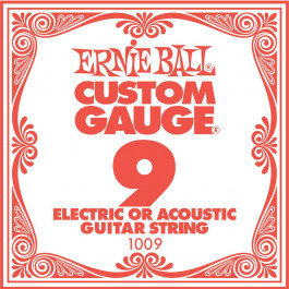 Ernie Ball P01009