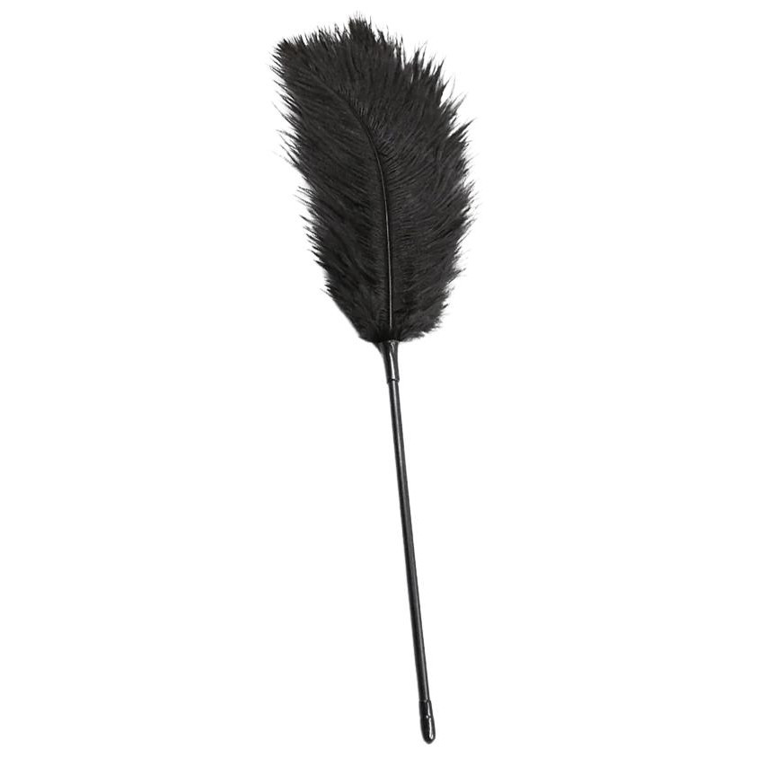 DS Fetish Пір'їнка для пестощів  Feather Tickler, чорна (2000460094555) - зображення 1