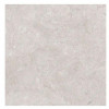 Allore Group Gallo Royal Sand Silver F PC R Mat 1 60x60 60118747 - зображення 1