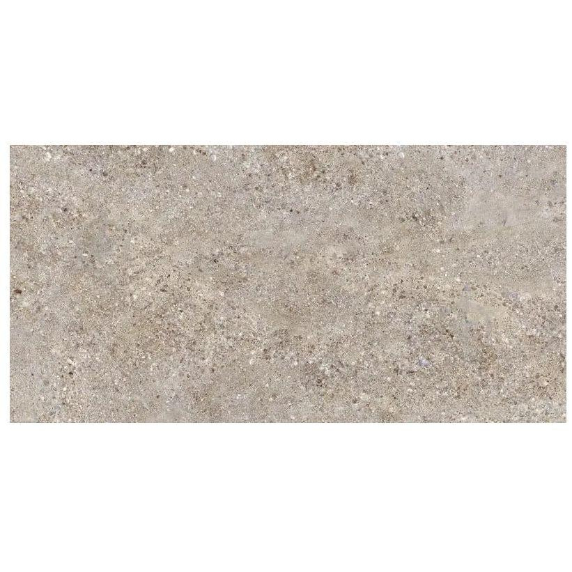 Allore Group Gallo Crystal Beige F P R Mat 60x120 60129604 - зображення 1