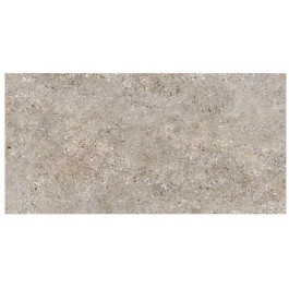   Allore Group Gallo Crystal Beige F P R Mat 60x120 60129604