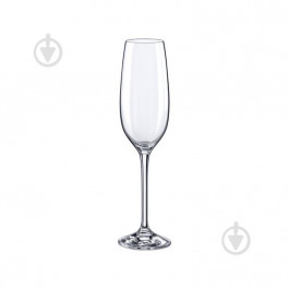 RONA Набір келихів для шампанського Yarra 205 мл 3 шт. (4735/205)