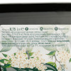 Varvar Пиво  Leedripuu Elderflower Saison, світле, нефільтроване, 5,9%, 0,75 л (4820201011218) - зображення 2