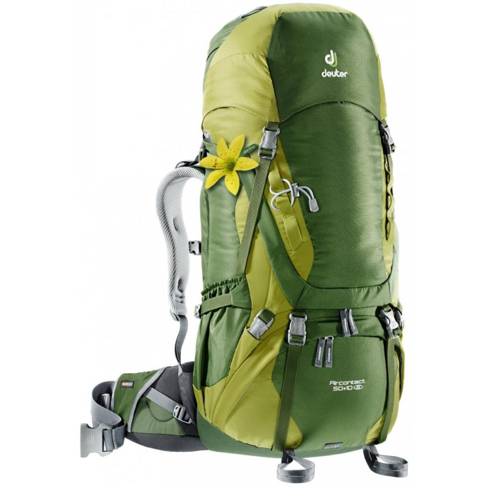 Deuter Aircontact 50 + 10 SL / pine-moss (3320216-2250) - зображення 1