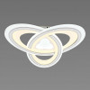 SIRIUS Люстра світлодіодна акрілова  N 5119-500 - зображення 3
