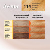 Acme color Крем-фарба  Color Intense №114 Карамель 138 мл (4820197008889) - зображення 8