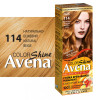 Acme color Крем-фарба  Color Intense №114 Карамель 138 мл (4820197008889) - зображення 10