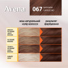 Acme color Крем-фарба  Color Avena №067 Капучино 138 мл (4820197008902) - зображення 3