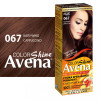 Acme color Крем-фарба  Color Avena №067 Капучино 138 мл (4820197008902) - зображення 10