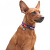 WAUDOG Нашийник для собак  Nylon Фіолетовий камо, з QR паспортом, металева пряжка-фастекс, 24-40х2 см (4823 - зображення 2